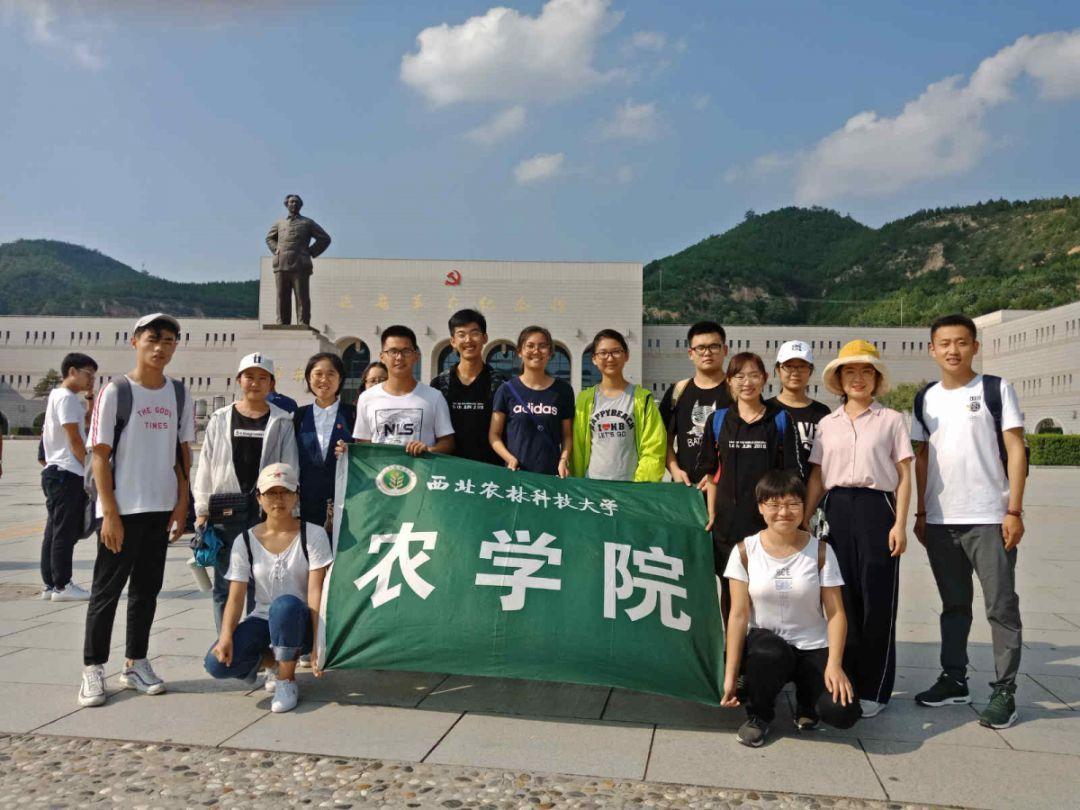 探寻神秘世界——二年级纸贴报怎么做?知识星球平台